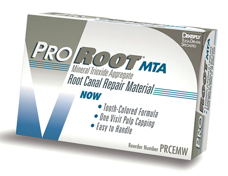 文京区（茗荷谷・江戸川橋）の歯医者、吉澤歯科クリニックの根管治療