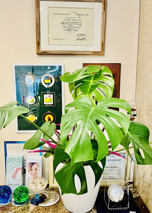 文京区（茗荷谷・江戸川橋）の歯医者、吉澤歯科クリニックの診療理念