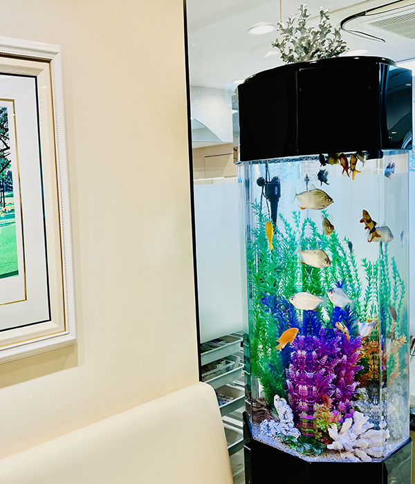 文京区（茗荷谷・江戸川橋）の歯医者、吉澤歯科クリニック